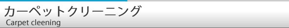 お掃除丸ごとキャンペーン